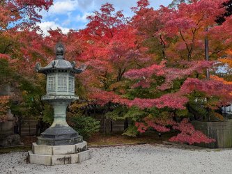 PXL_20241128_051953476.jpg PXL_20241128_051953476.jpg