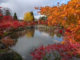 PXL_20241128_052427100.jpg PXL_20241128_052427100.jpg