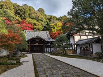 PXL_20241128_054254496.jpg PXL_20241128_054254496.jpg