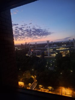 20241129_052627.jpg 20241129_052627.jpg