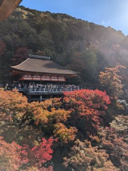 PXL_20241129_012105006.jpg PXL_20241129_012105006.jpg