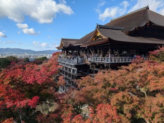 PXL_20241129_012656834.jpg PXL_20241129_012656834.jpg