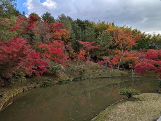 PXL_20241129_032143616.jpg PXL_20241129_032143616.jpg