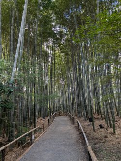 PXL_20241129_033448776.jpg PXL_20241129_033448776.jpg