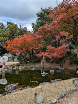 PXL_20241129_040503500.jpg PXL_20241129_040503500.jpg