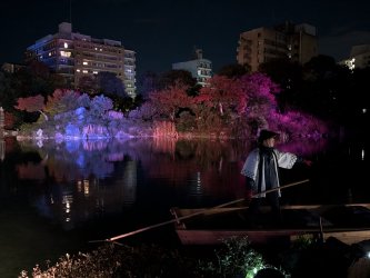 PXL_20241129_085940746.jpg PXL_20241129_085940746.jpg