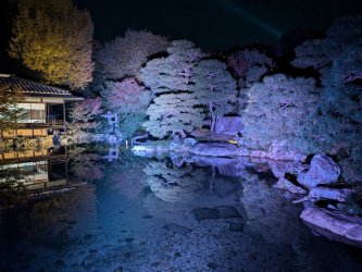 PXL_20241129_090333419.jpg PXL_20241129_090333419.jpg