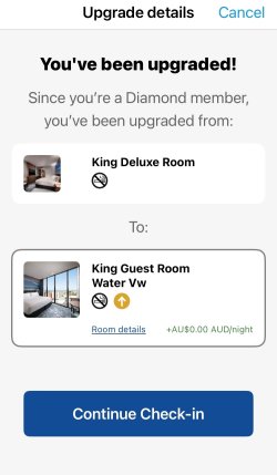 IMG_2645.jpeg IMG_2645.jpeg