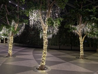 PXL_20241128_115109320.jpg PXL_20241128_115109320.jpg