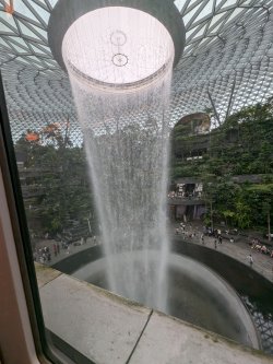 PXL_20241129_064203679.jpg PXL_20241129_064203679.jpg