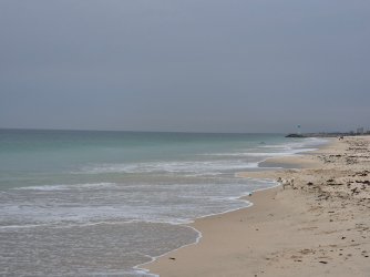 20241129_173223.jpg 20241129_173223.jpg