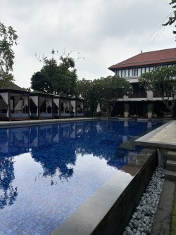 1732947130311.jpeg 1732947130311.jpeg