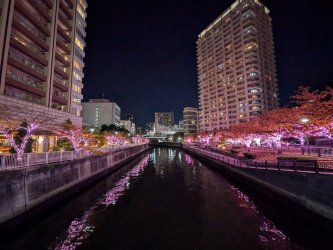 PXL_20241130_105730362.jpg PXL_20241130_105730362.jpg