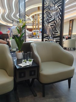 20241201_191834.jpg 20241201_191834.jpg