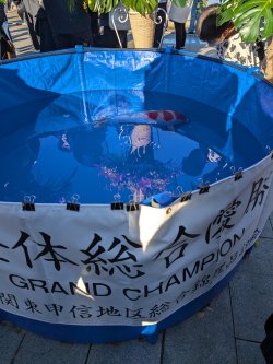 PXL_20241201_054401187.jpg PXL_20241201_054401187.jpg