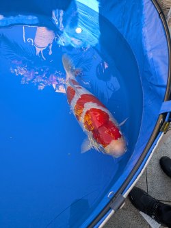 PXL_20241201_054424547.jpg PXL_20241201_054424547.jpg