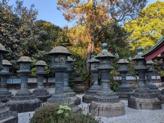 PXL_20241201_060335895.jpg PXL_20241201_060335895.jpg