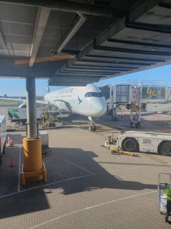 20241202_073553.jpg 20241202_073553.jpg