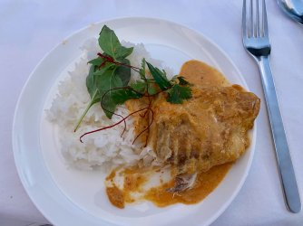 IMG_3564.jpeg IMG_3564.jpeg