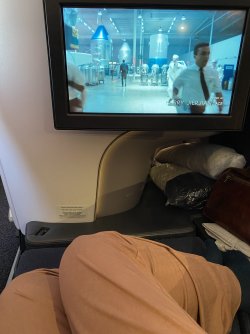 IMG_3559.jpeg IMG_3559.jpeg