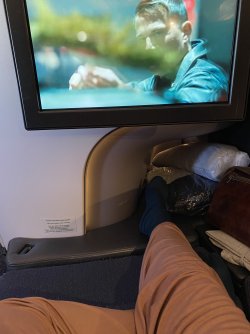 IMG_3560.jpeg IMG_3560.jpeg