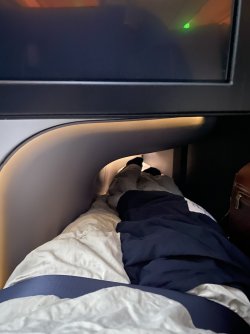 IMG_3565.jpeg IMG_3565.jpeg