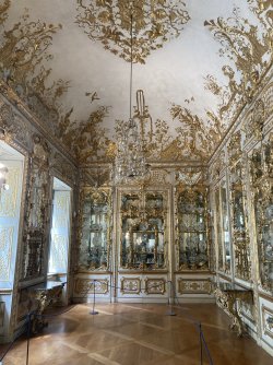 IMG_8812.jpeg IMG_8812.jpeg