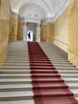 IMG_8845.jpeg IMG_8845.jpeg