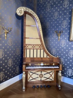 IMG_8895.jpeg IMG_8895.jpeg