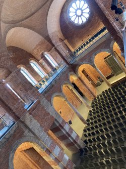 IMG_8884.jpeg IMG_8884.jpeg