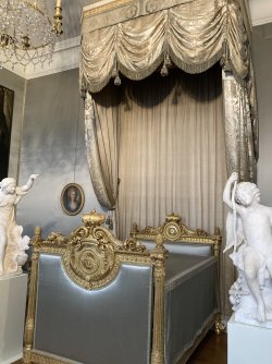 IMG_8887.jpeg IMG_8887.jpeg