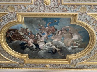 IMG_8922.jpeg IMG_8922.jpeg