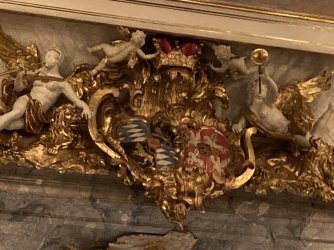 IMG_8981.jpeg IMG_8981.jpeg