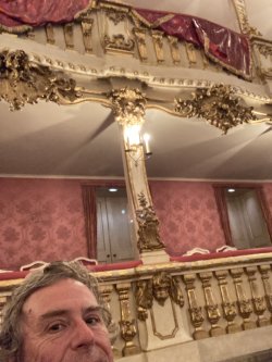 IMG_8979.jpeg IMG_8979.jpeg