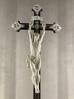 IMG_9019.jpeg IMG_9019.jpeg