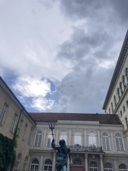 IMG_8809.jpeg IMG_8809.jpeg