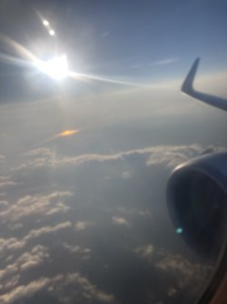 IMG_9088.jpeg IMG_9088.jpeg