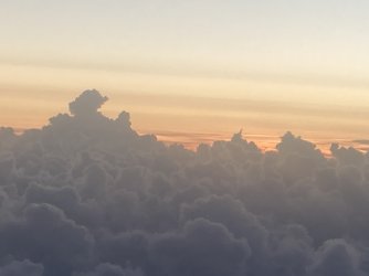 IMG_9121.jpeg IMG_9121.jpeg