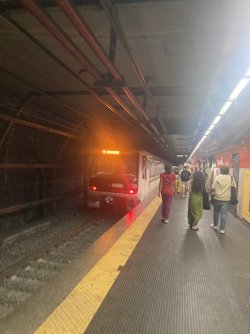 IMG_9146.jpeg IMG_9146.jpeg