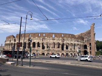 IMG_9186.jpeg IMG_9186.jpeg