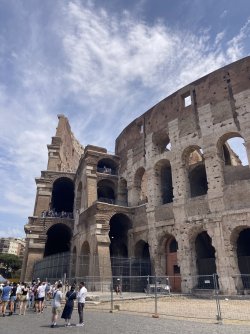 IMG_9174.jpeg IMG_9174.jpeg