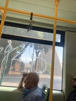 IMG_9239.jpeg IMG_9239.jpeg