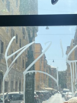 IMG_9237.jpeg IMG_9237.jpeg