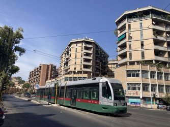 IMG_9229.jpeg IMG_9229.jpeg