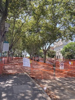 IMG_9225.jpeg IMG_9225.jpeg