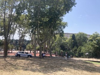 IMG_9212.jpeg IMG_9212.jpeg