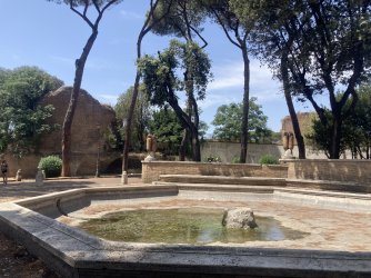 IMG_9206.jpeg IMG_9206.jpeg