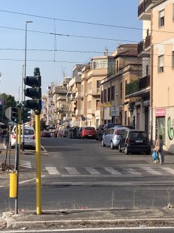 IMG_9295.jpeg IMG_9295.jpeg