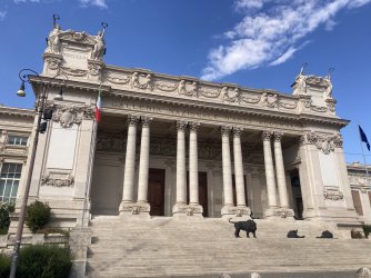 IMG_9321.jpeg IMG_9321.jpeg