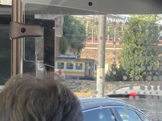 IMG_9310.jpeg IMG_9310.jpeg